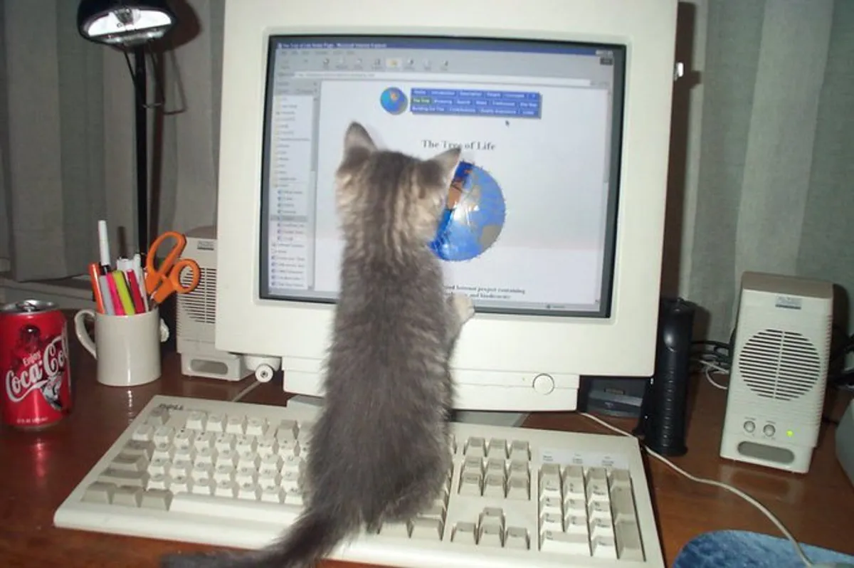 Fortinet Single Sign-On (FSSO) Lab