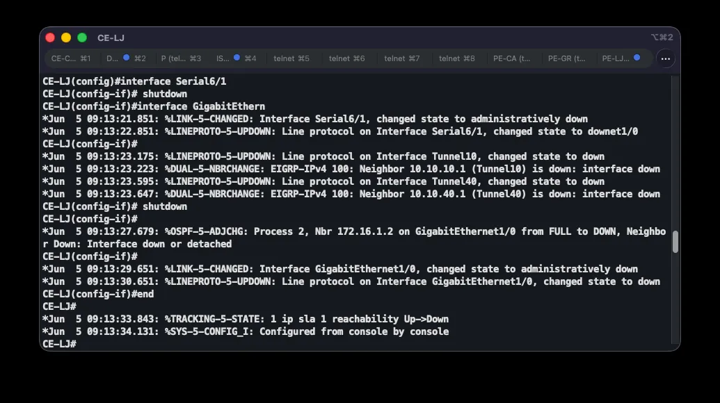 CE-LJ with both Serial and GigabitEthernet interfaces shut down, cascading neighbor-loss messages