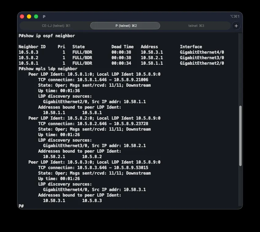 OSPF neighbor and LDP neighbor state on the P router